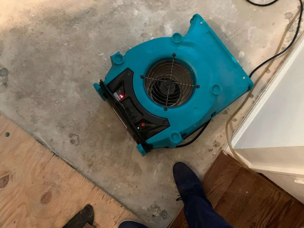 Air mover drying subfloor during Commercial Water Damage Restoration in Ellisville